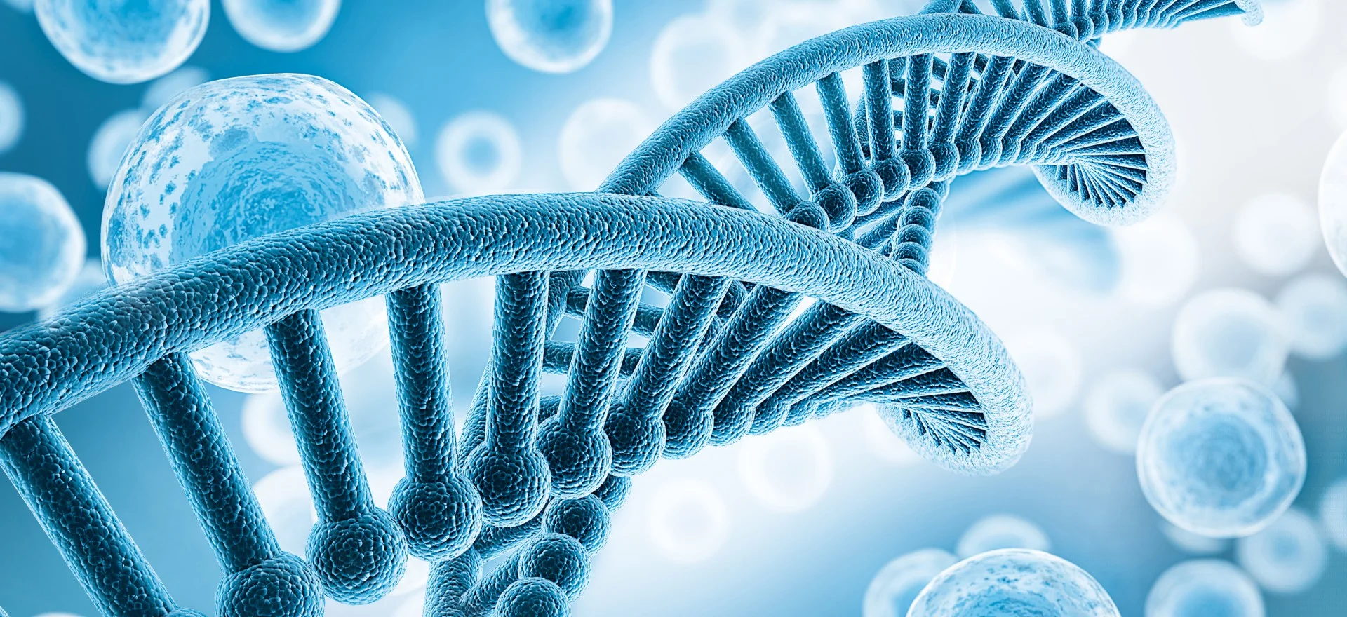 Overcoming Challenges in Offshore Audits for Life-Science Companies